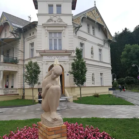 Apartmany Luhacovice Apartmán