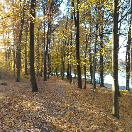 Apartmán Apartmany Luhacovice
