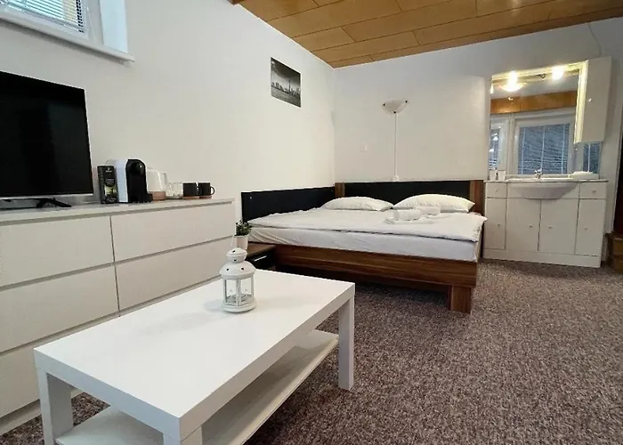 Apartmany Luhacovice 아파트 *